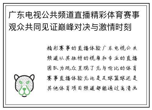 广东电视公共频道直播精彩体育赛事观众共同见证巅峰对决与激情时刻